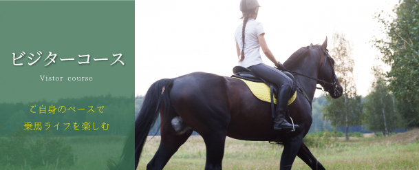 ビジターコース