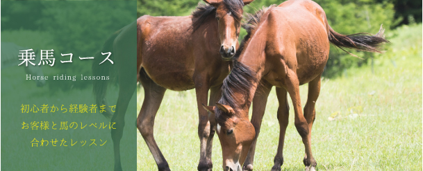 乗馬コース